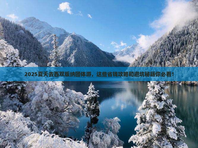 夏天到云南西双版纳团体旅游