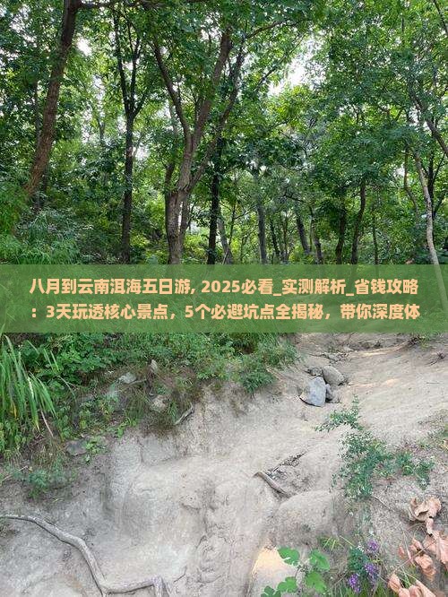 八月到云南洱海五日游 八月到云南洱海五日游
