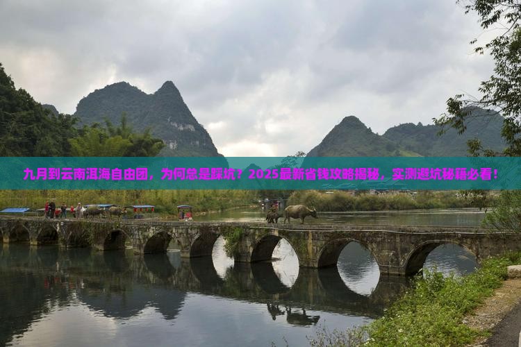 九月到云南洱海自由团