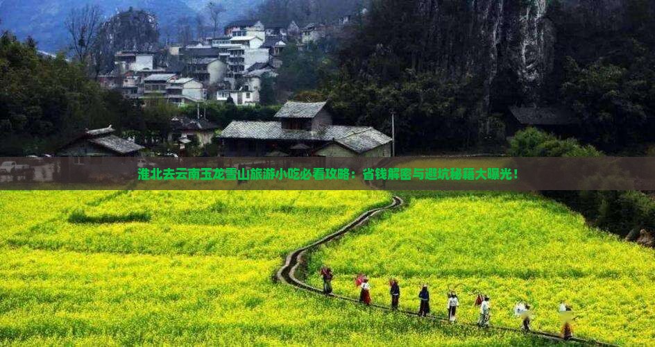 淮北去云南玉龙雪山旅游小吃