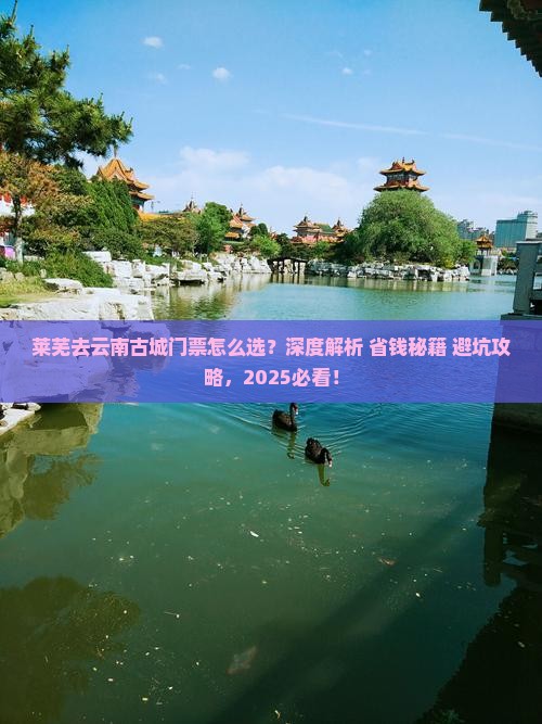 莱芜去云南古城门票