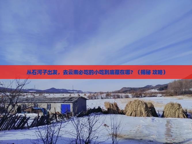 石河子到云南旅游小吃