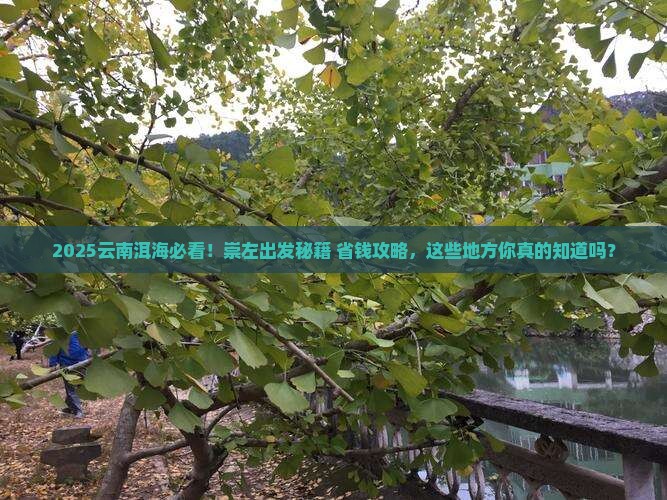 崇左到云南洱海必去地