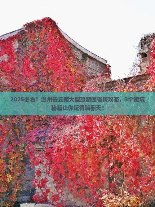 温州去云南大型旅游团