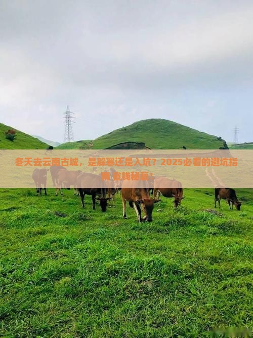 冬天去云南古城攻略