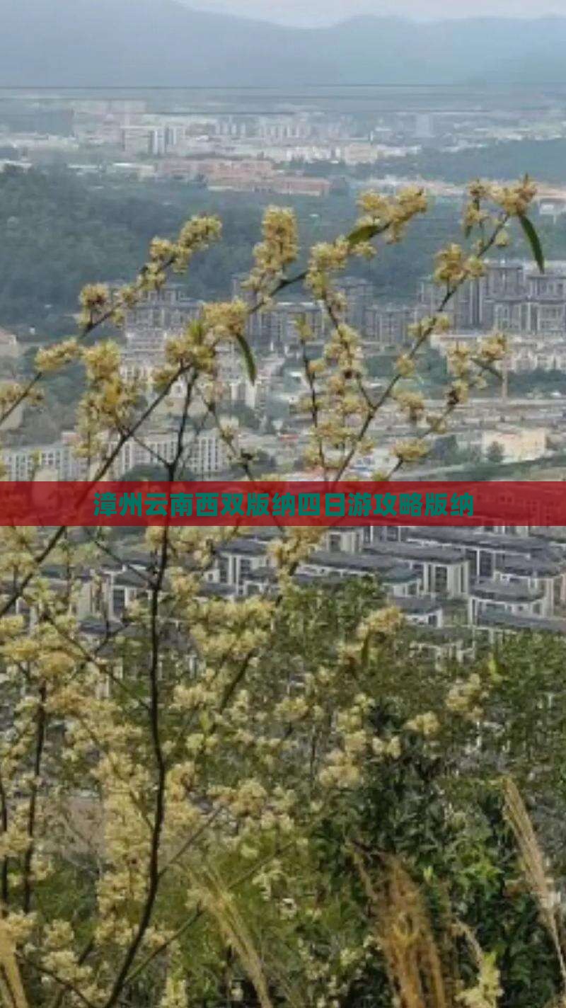 漳州去云南西双版纳四日游