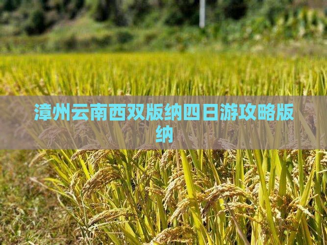 漳州去云南西双版纳四日游