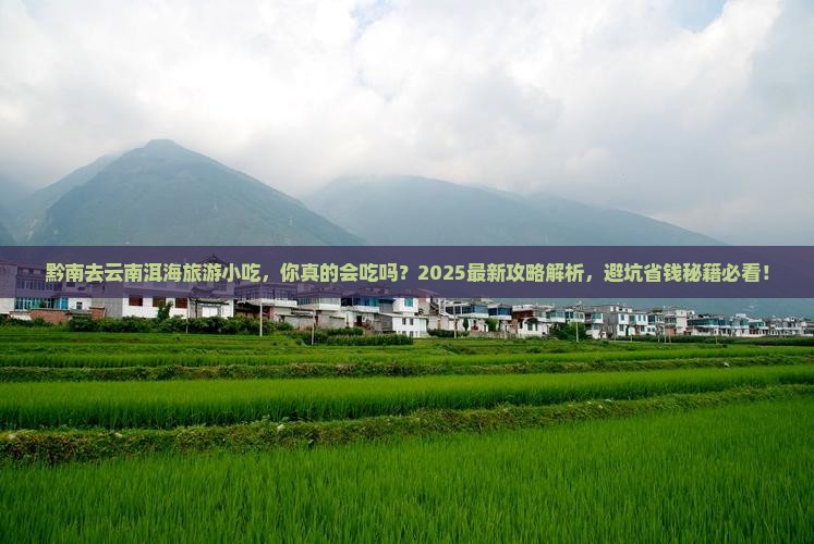 黔南去云南洱海旅游小吃