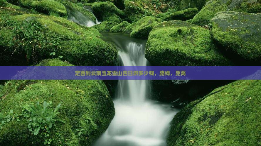 定西到云南玉龙雪山四日游