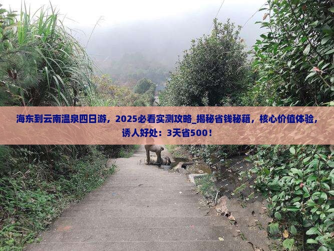 海东到云南温泉四日游