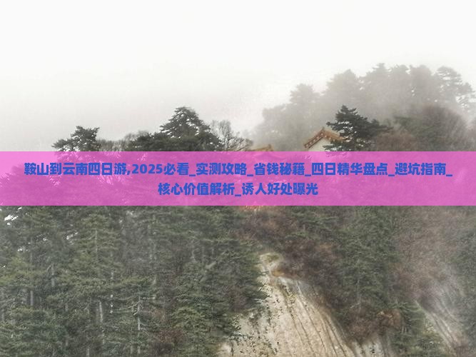 鞍山到云南四日游