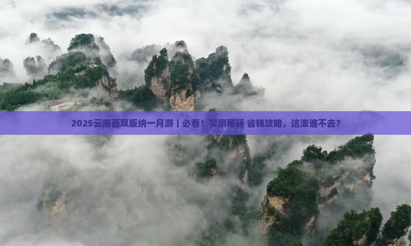 一月到云南西双版纳景点