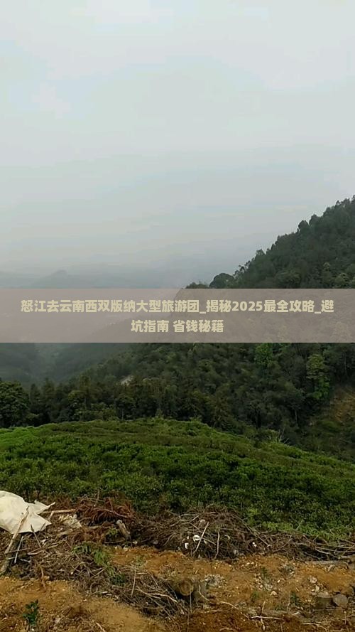 怒江去云南西双版纳大型旅游团