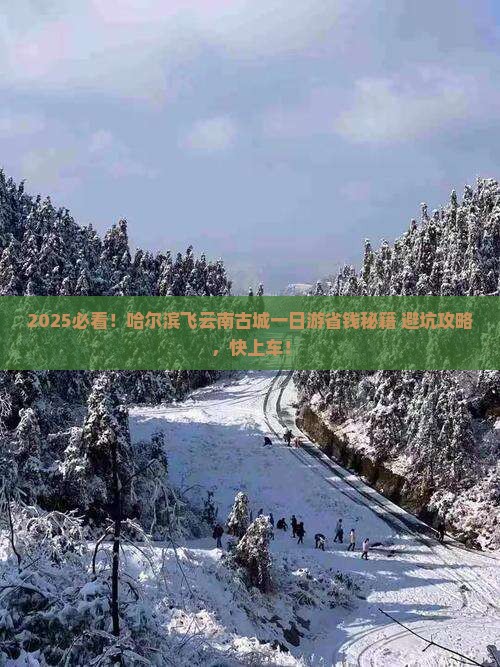 哈尔滨去云南古城一日