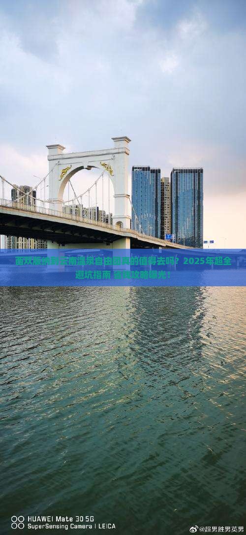 西双版纳到云南温泉自由团