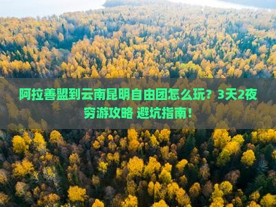 阿拉善盟到云南昆明自由团