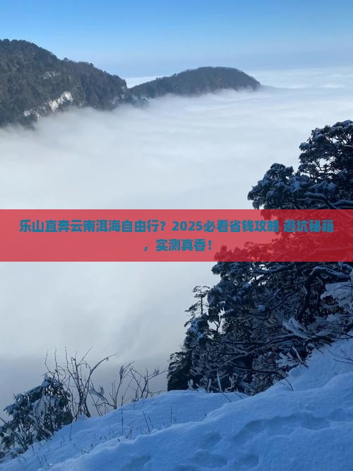 乐山去云南洱海自由团
