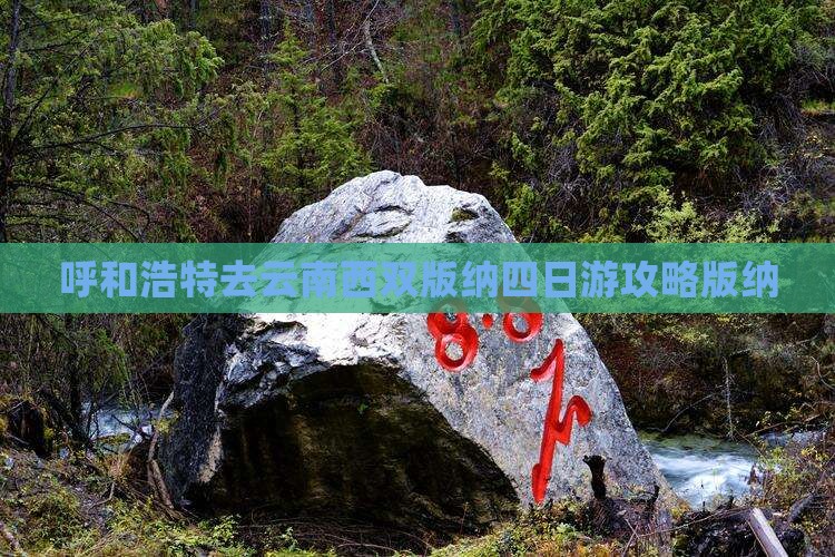 呼和浩特去云南西双版纳四日游