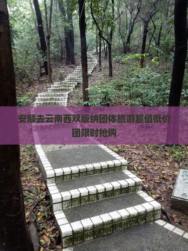 安顺去云南西双版纳团体旅游