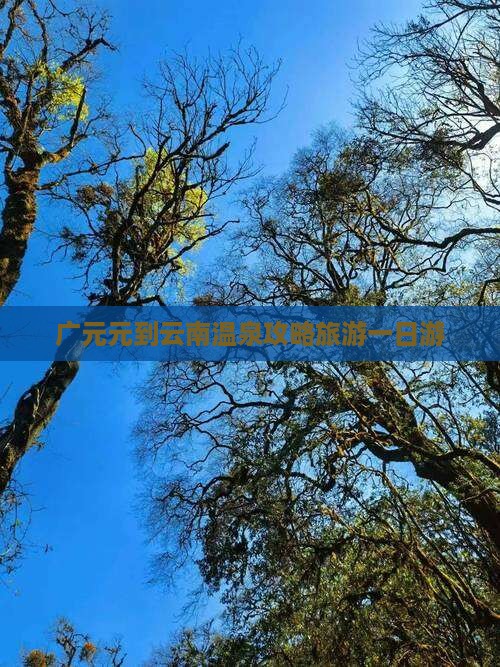 广元去云南温泉一日