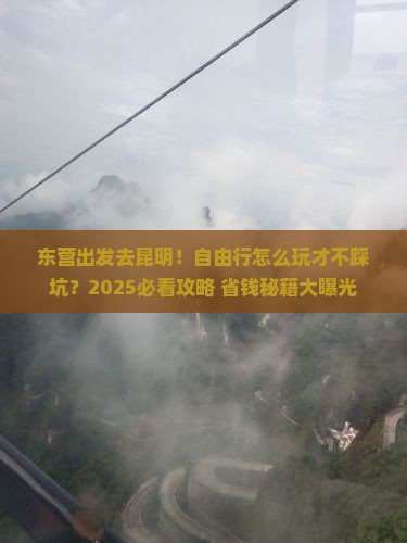 东营到云南昆明自由行