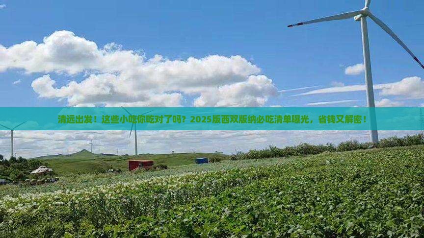 清远到云南西双版纳旅游小吃