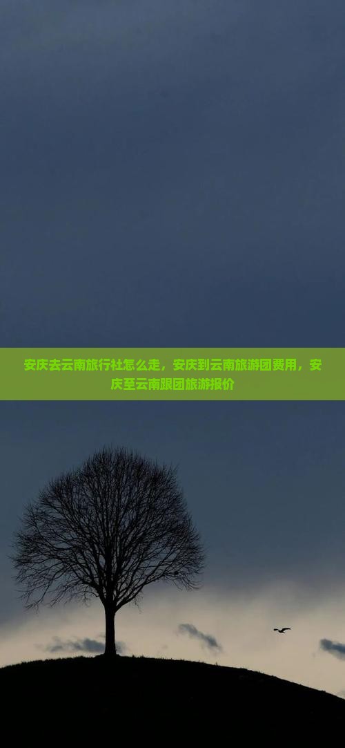 安庆去云南旅行社