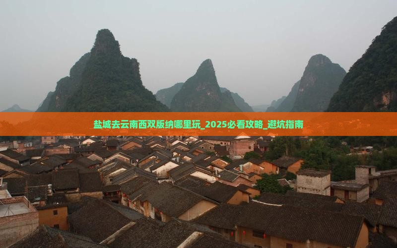 盐城去云南西双版纳哪里玩