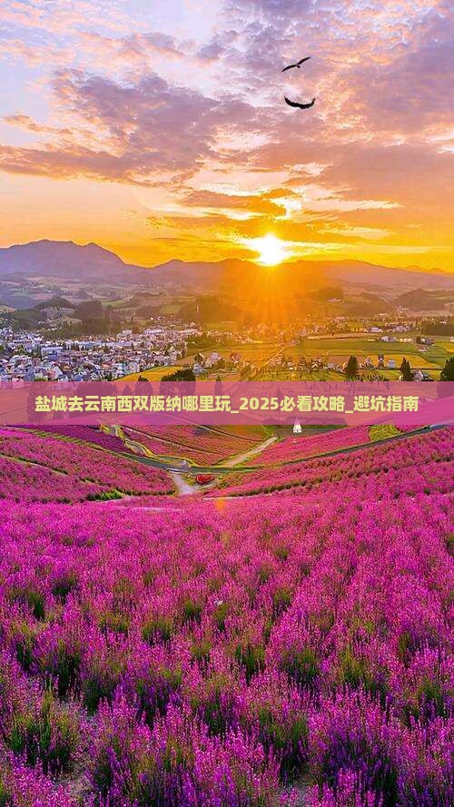 盐城去云南西双版纳哪里玩