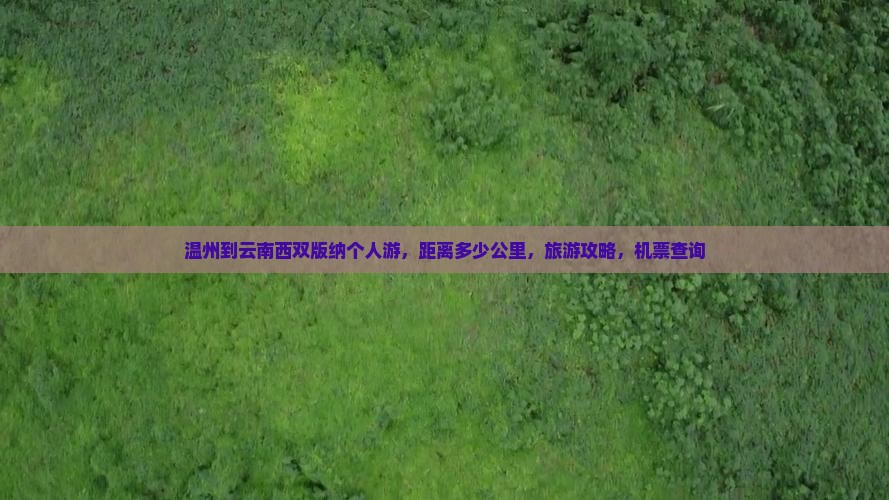 温州到云南西双版纳个人游
