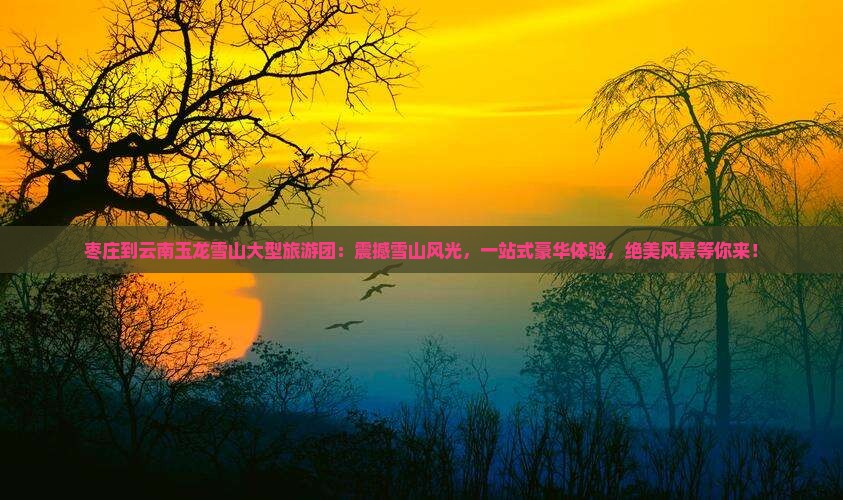 枣庄到云南玉龙雪山大型旅游团