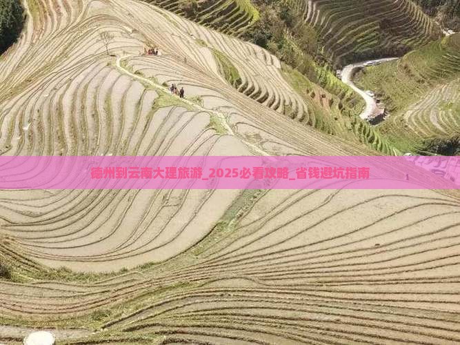德州到云南大理旅游
