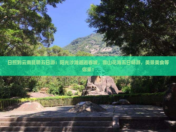 日照到云南昆明五日游