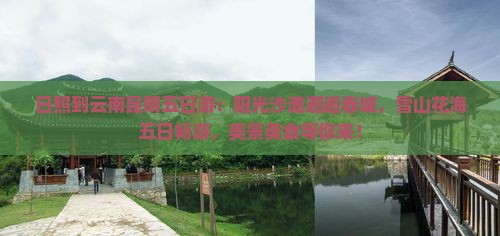 日照到云南昆明五日游