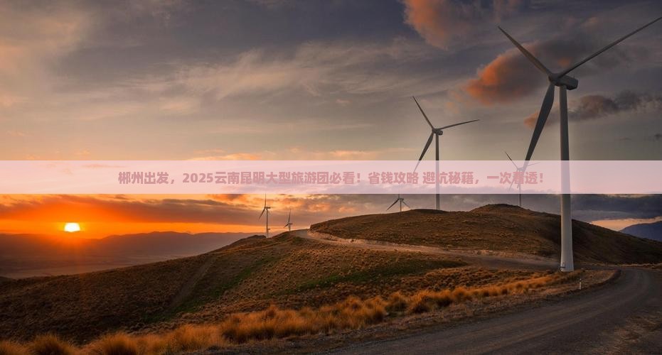 郴州去云南昆明大型旅游团