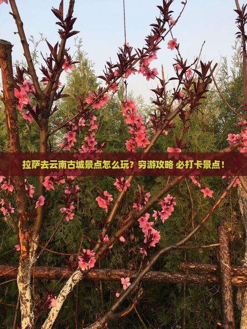 拉萨去云南古城景点