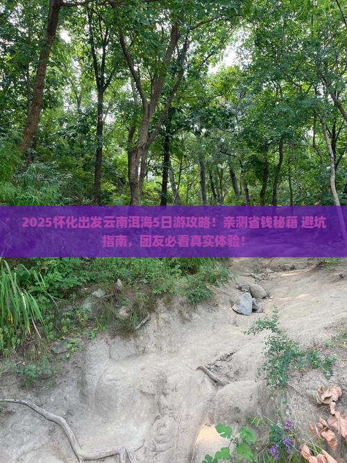 怀化到云南洱海团体旅游