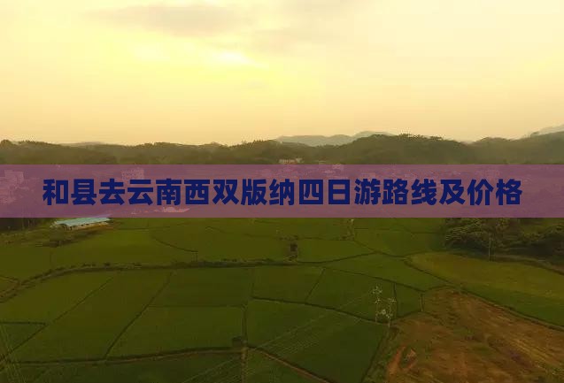 和县去云南西双版纳四日游