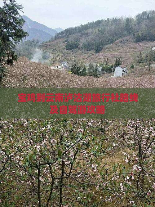 宝鸡到云南泸沽湖旅行社路线及自驾游攻略