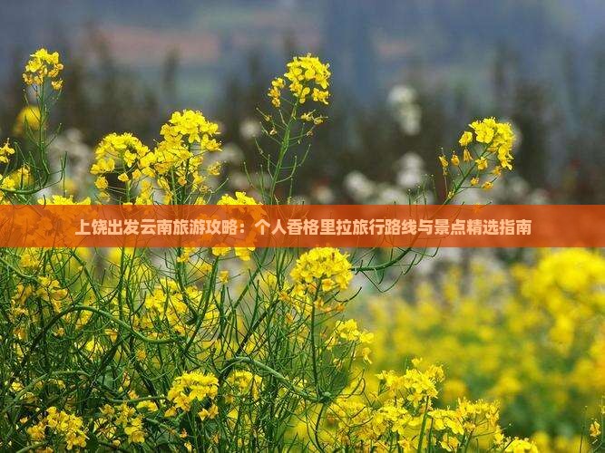 上饶出发云南旅游攻略：个人香格里拉旅行路线与景点精选指南