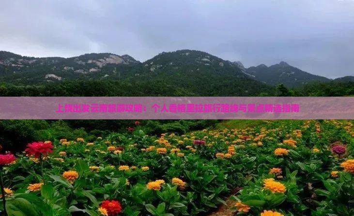 上饶出发云南旅游攻略：个人香格里拉旅行路线与景点精选指南
