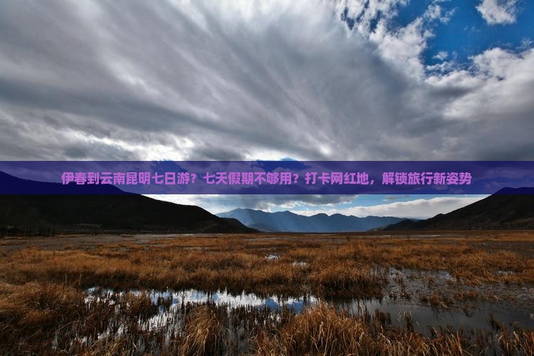 伊春到云南昆明七日游？七天假期不够用？打卡网红地，解锁旅行新姿势