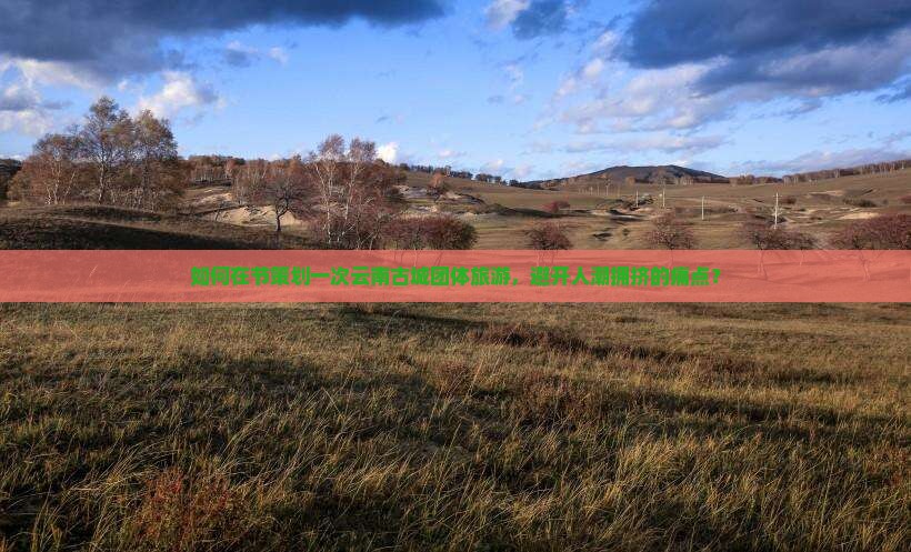 如何在节策划一次云南古城团体旅游，避开人潮拥挤的痛点？