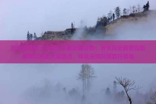 河北国际旅行社推出云南旅游攻略：春节月份最便宜路犀带您游览大理景点，体验云南风情旅行看看