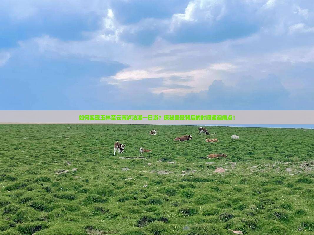 如何实现玉林至云南泸沽湖一日游？探秘美景背后的时间紧迫痛点！