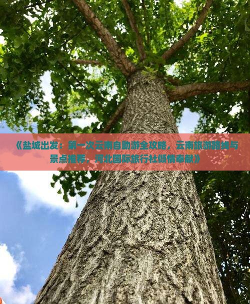 《盐城出发：第一次云南自助游全攻略，云南旅游路线与景点推荐，河北国际旅行社倾情奉献》