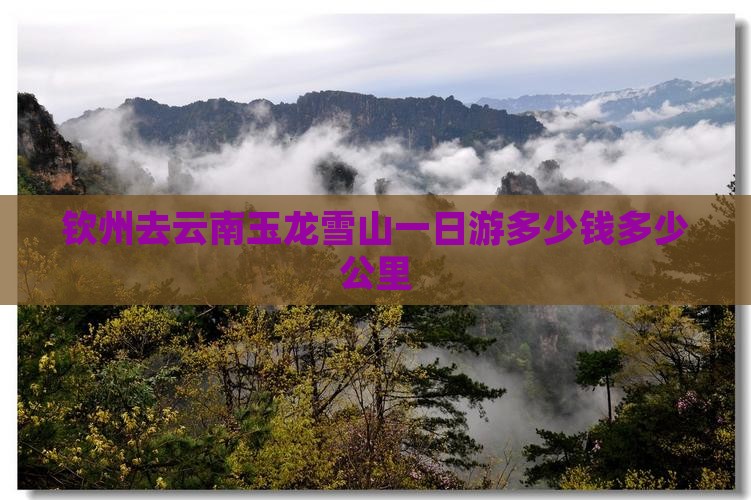 钦州去云南玉龙雪山一日游多少钱多少公里