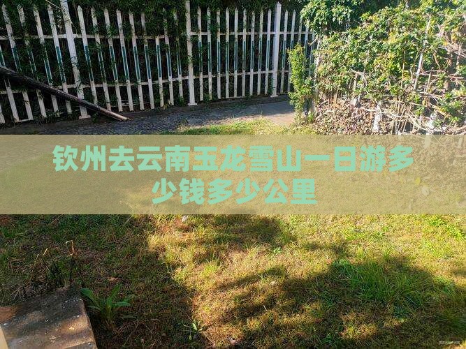 钦州去云南玉龙雪山一日游多少钱多少公里