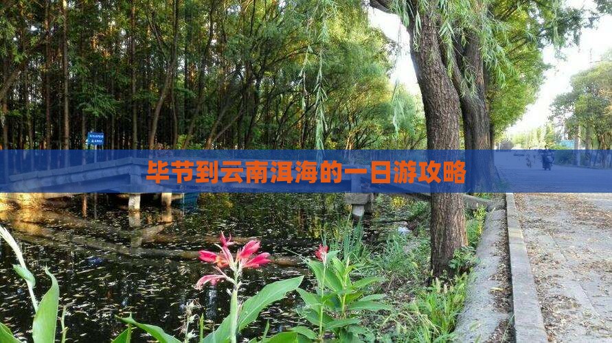 毕节到云南洱海的一日游攻略