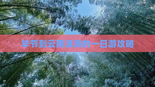 毕节到云南洱海的一日游攻略